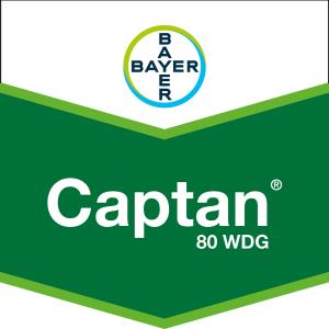 Captan 80 WDG