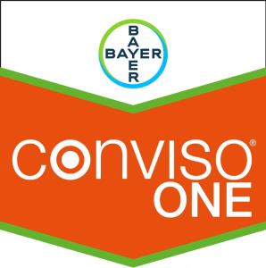 Conviso® One