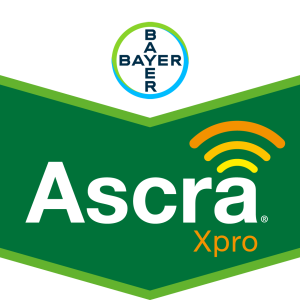 Ascra Xpro