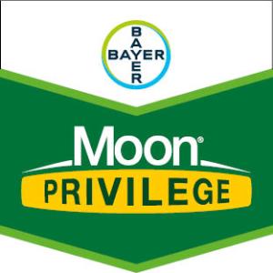 Moon® Privilege