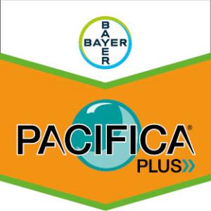 Pacifica® Plus