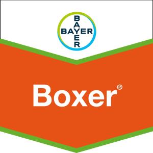 Boxer®