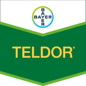 Teldor®