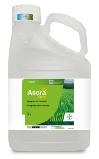 Ascra Xpro
