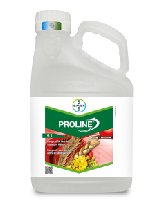 Proline®