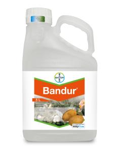Bandur®