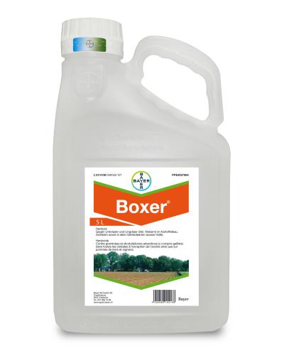 Boxer®