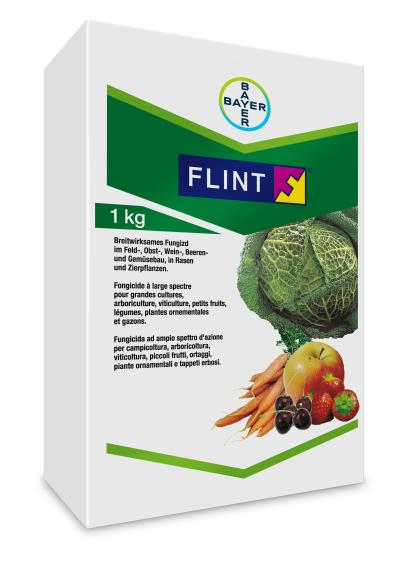 Flint®