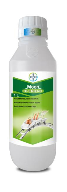 Moon® Experience