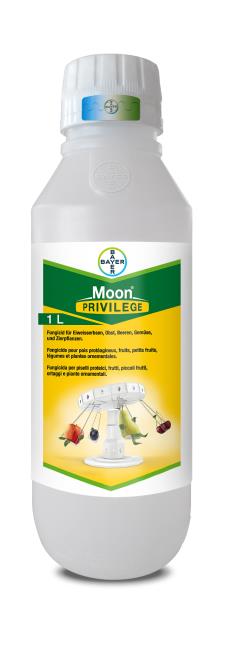 Moon® Privilege